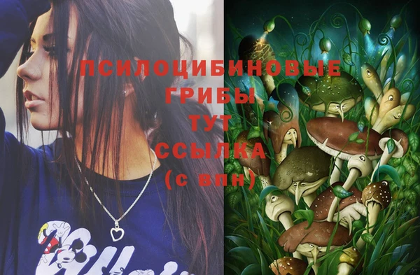 винт Нефтегорск