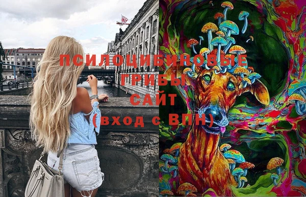 гашишное масло Нефтекумск