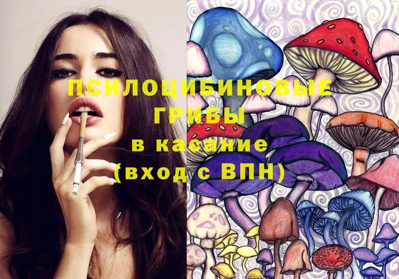 Галлюциногенные грибы Psilocybine cubensis Агрыз